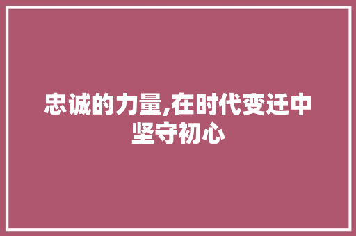 忠诚的力量,在时代变迁中坚守初心