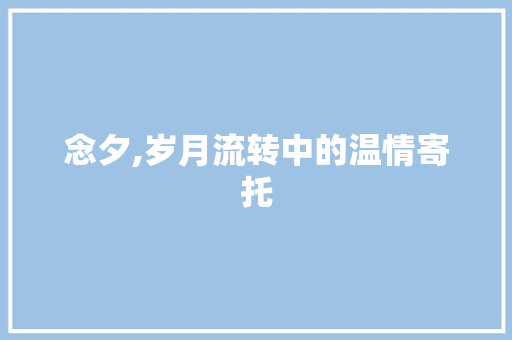 念夕,岁月流转中的温情寄托