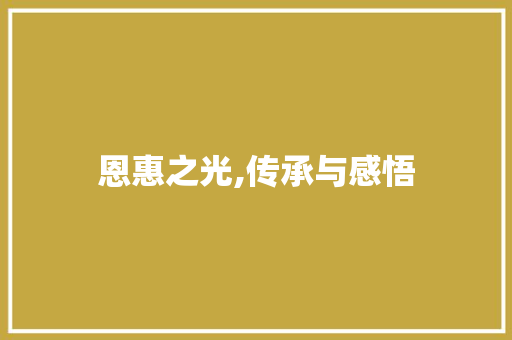 恩惠之光,传承与感悟 诗词佳句