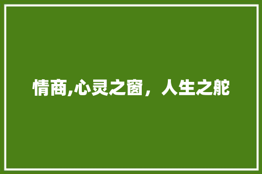 情商,心灵之窗，人生之舵
