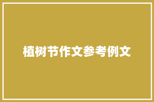 迈向中考巅峰_我的目标计划与实施步骤