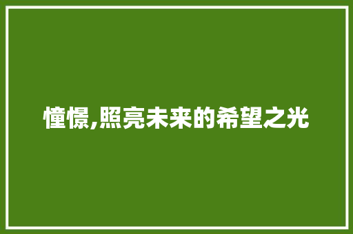憧憬,照亮未来的希望之光