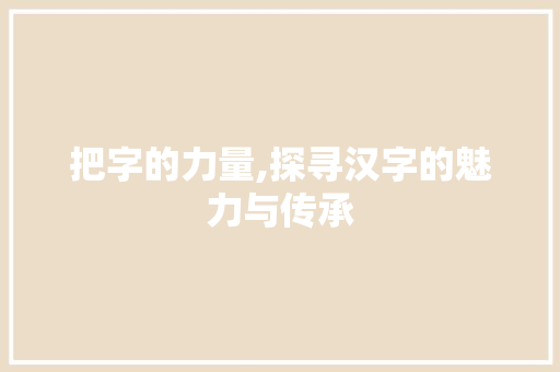 把字的力量,探寻汉字的魅力与传承