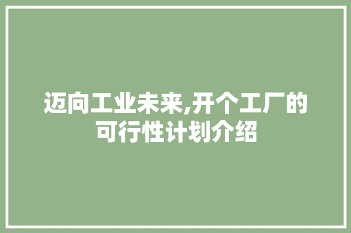 迈向工业未来,开个工厂的可行性计划介绍