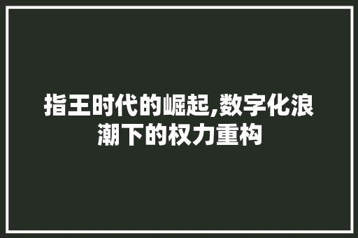 指王时代的崛起,数字化浪潮下的权力重构