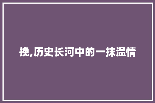 挽,历史长河中的一抹温情