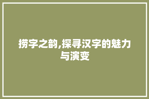 捞字之韵,探寻汉字的魅力与演变