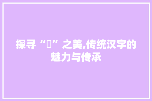 探寻“媞”之美,传统汉字的魅力与传承