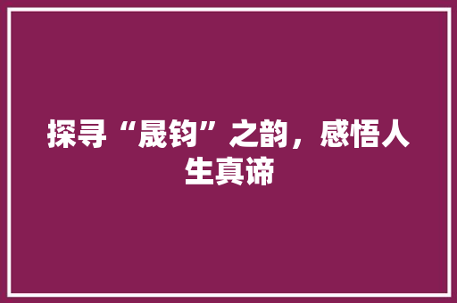 探寻“晟钧”之韵，感悟人生真谛