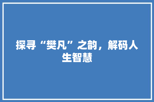 探寻“樊凡”之韵，解码人生智慧