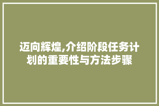 迈向辉煌,介绍阶段任务计划的重要性与方法步骤