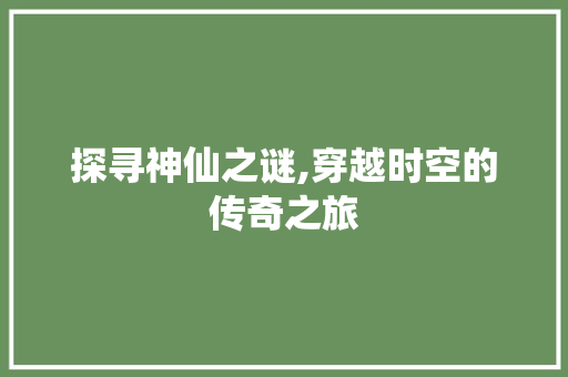 探寻神仙之谜,穿越时空的传奇之旅