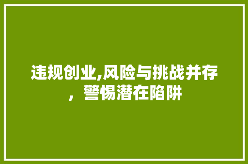 违规创业,风险与挑战并存，警惕潜在陷阱