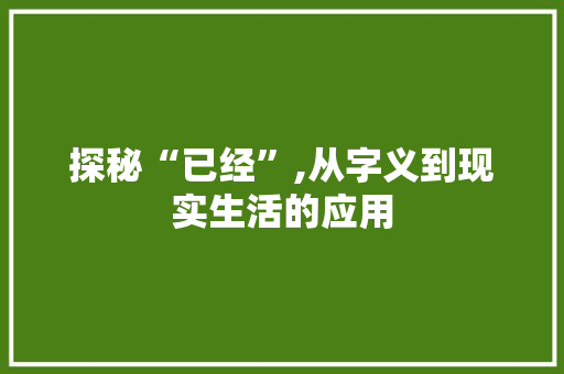 探秘“已经”,从字义到现实生活的应用