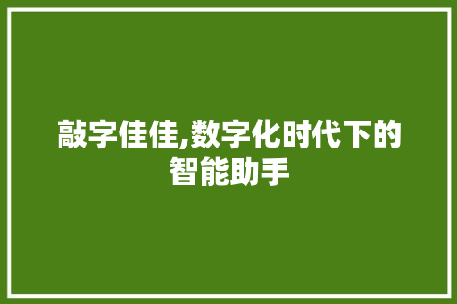 敲字佳佳,数字化时代下的智能助手