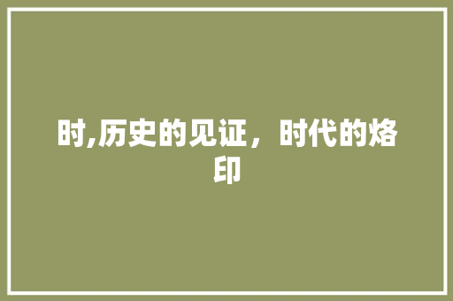 时,历史的见证，时代的烙印