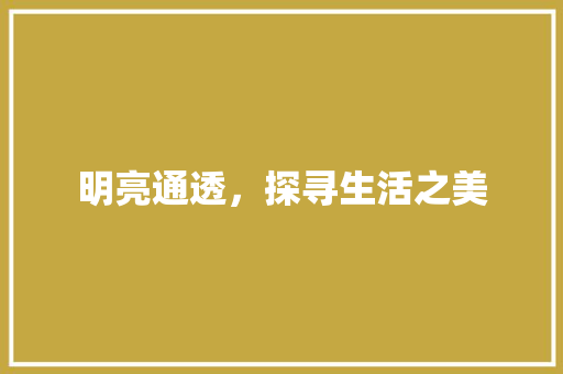 明亮通透，探寻生活之美