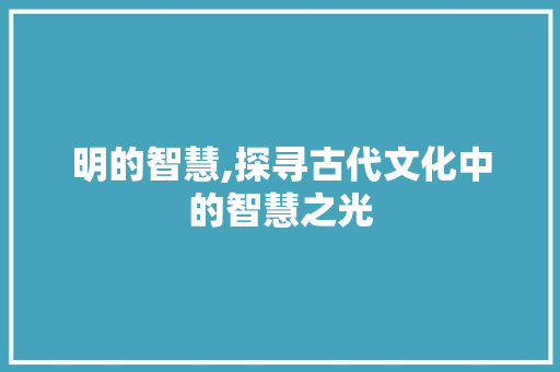明的智慧,探寻古代文化中的智慧之光