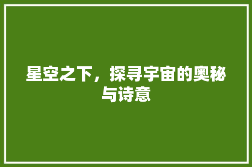 星空之下，探寻宇宙的奥秘与诗意