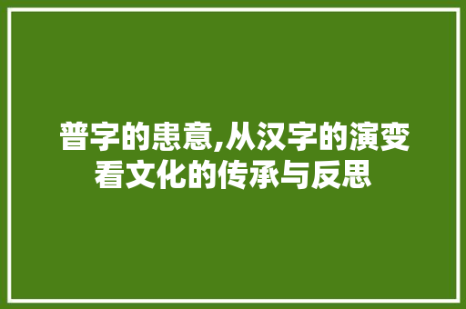 普字的患意,从汉字的演变看文化的传承与反思