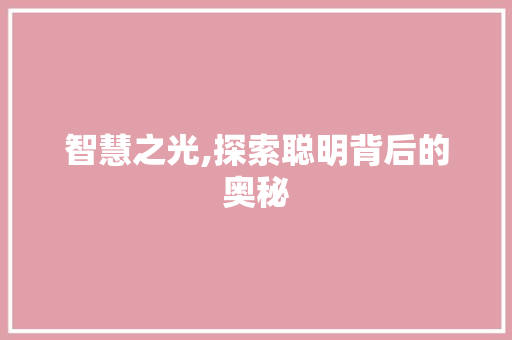 智慧之光,探索聪明背后的奥秘
