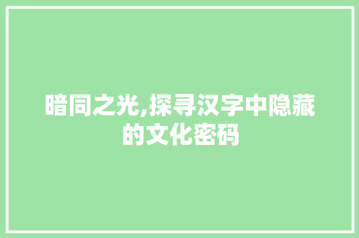 暗同之光,探寻汉字中隐藏的文化密码