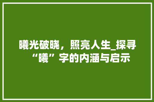 曦光破晓，照亮人生_探寻“曦”字的内涵与启示