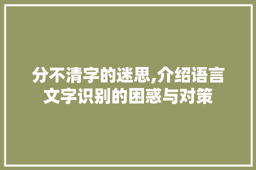 分不清字的迷思,介绍语言文字识别的困惑与对策