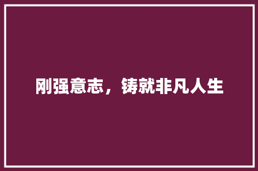 刚强意志，铸就非凡人生
