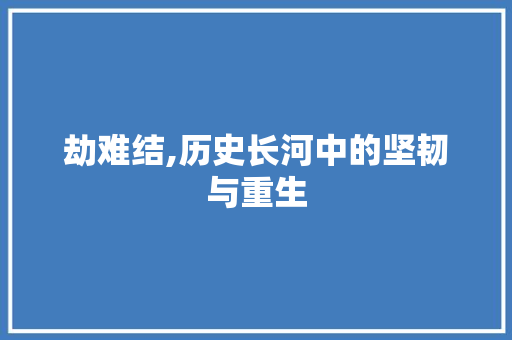 劫难结,历史长河中的坚韧与重生