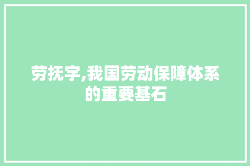 劳抚字,我国劳动保障体系的重要基石 近义词汇