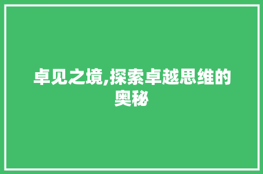 卓见之境,探索卓越思维的奥秘