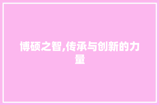 博硕之智,传承与创新的力量