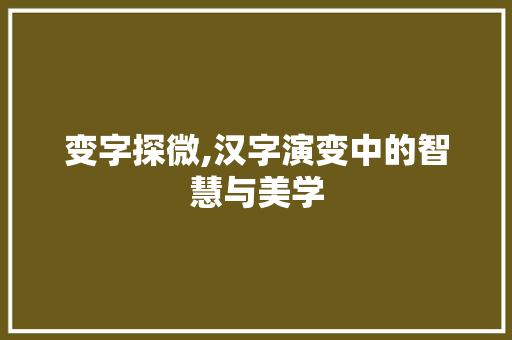 变字探微,汉字演变中的智慧与美学