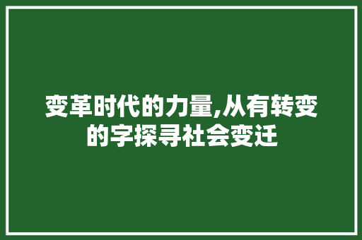变革时代的力量,从有转变的字探寻社会变迁