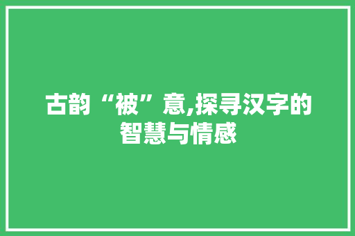 古韵“被”意,探寻汉字的智慧与情感