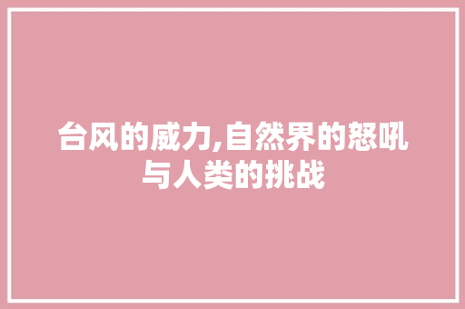 台风的威力,自然界的怒吼与人类的挑战
