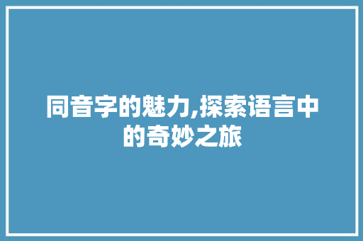 同音字的魅力,探索语言中的奇妙之旅