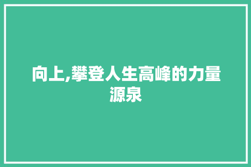 向上,攀登人生高峰的力量源泉