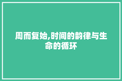 周而复始,时间的韵律与生命的循环
