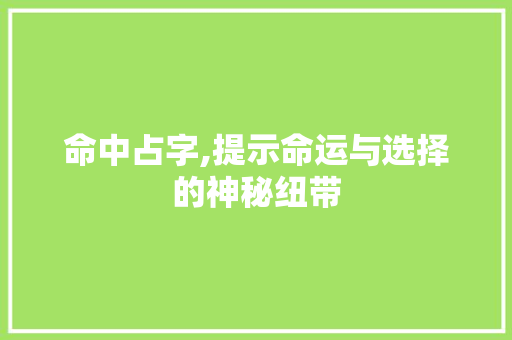 命中占字,提示命运与选择的神秘纽带