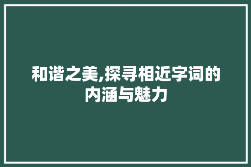 和谐之美,探寻相近字词的内涵与魅力