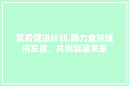 贸易促进计划,助力全球经济发展，共创繁荣未来