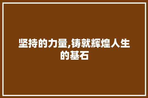 坚持的力量,铸就辉煌人生的基石 近义词汇