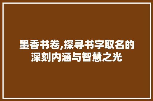 墨香书卷,探寻书字取名的深刻内涵与智慧之光