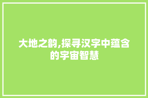 大地之韵,探寻汉字中蕴含的宇宙智慧