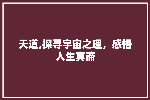 天道,探寻宇宙之理，感悟人生真谛