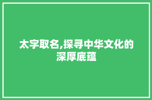 太字取名,探寻中华文化的深厚底蕴