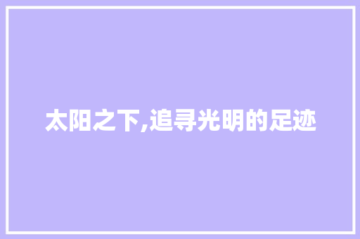 太阳之下,追寻光明的足迹