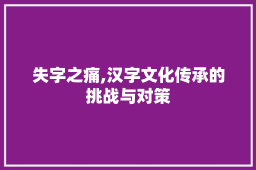 失字之痛,汉字文化传承的挑战与对策